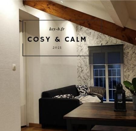 Appartement Calm & Cosy à Freyming-Merlebach Extérieur photo
